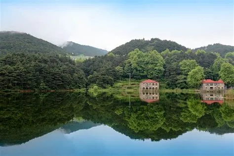 Lu Shan National Forest Park - zielona oaza na szczycie gór i malownicze widoki z tarasów widokowych!