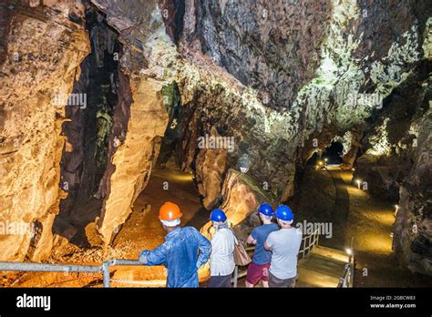  The Sterkfontein Caves: Journey into the Cradle of Humankind!