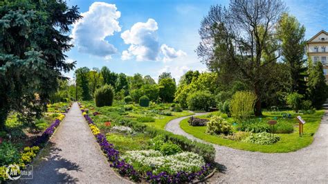 Ogród Botaniczny w Udine! Zwiedzaj raj zieleni i odkrywaj tajemnice botaniki